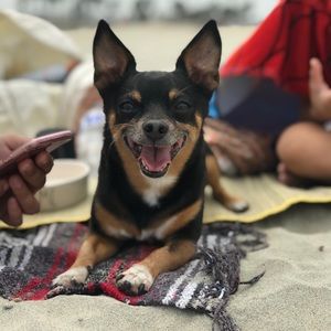 Meet your Posher, Natasha